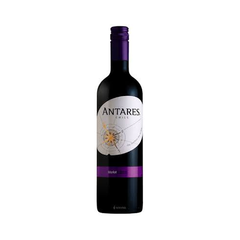 Antares Merlot 2019 Chile